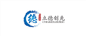 青島立德創(chuàng)先科技有限公司